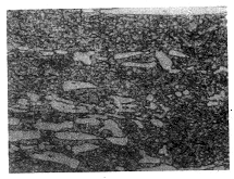 圖5 失效模具試樣共晶碳化物呈長(zhǎng)條狀 ×400 圖5 失效模具試樣共晶碳化物呈長(zhǎng)條狀 ×400