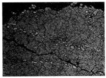 圖6 失效模具試樣大裂紋邊緣的 圖6 失效模具試樣大裂紋邊緣的