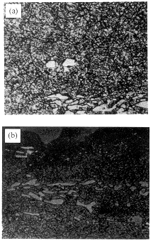 圖7 試樣補(bǔ)充回火后的金相組織 ×40 圖7 試樣補(bǔ)充回火后的金相組織 ×40