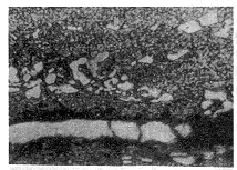 圖10 裂紋沿條狀碳化物方向擴(kuò)展 ×400 圖10 裂紋沿條狀碳化物方向擴(kuò)展 ×400