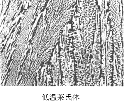 萊氏體 萊氏體