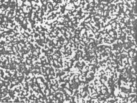 回火馬氏體 回火馬氏體