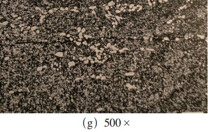 試樣中裂紋及組織 試樣中裂紋及組織