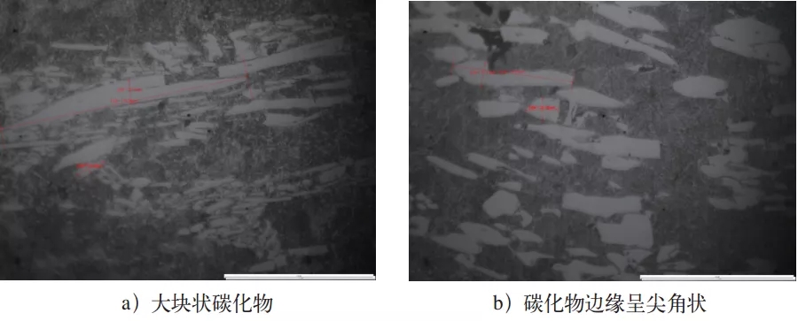 圖5 原料組織(500×).webp.jpg